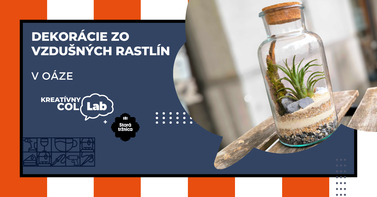 lab.cafe oaza vzdušne rastliny