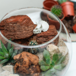 lab.cafe sukulentné teráriá workshop