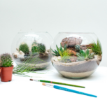 lab.cafe sukulentné teráriá workshop