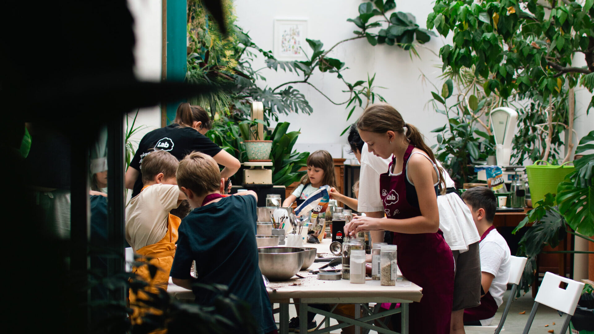 tvorenie v rastlinnej oaze