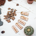 lab.cafe studiyo sukulentné teráriá