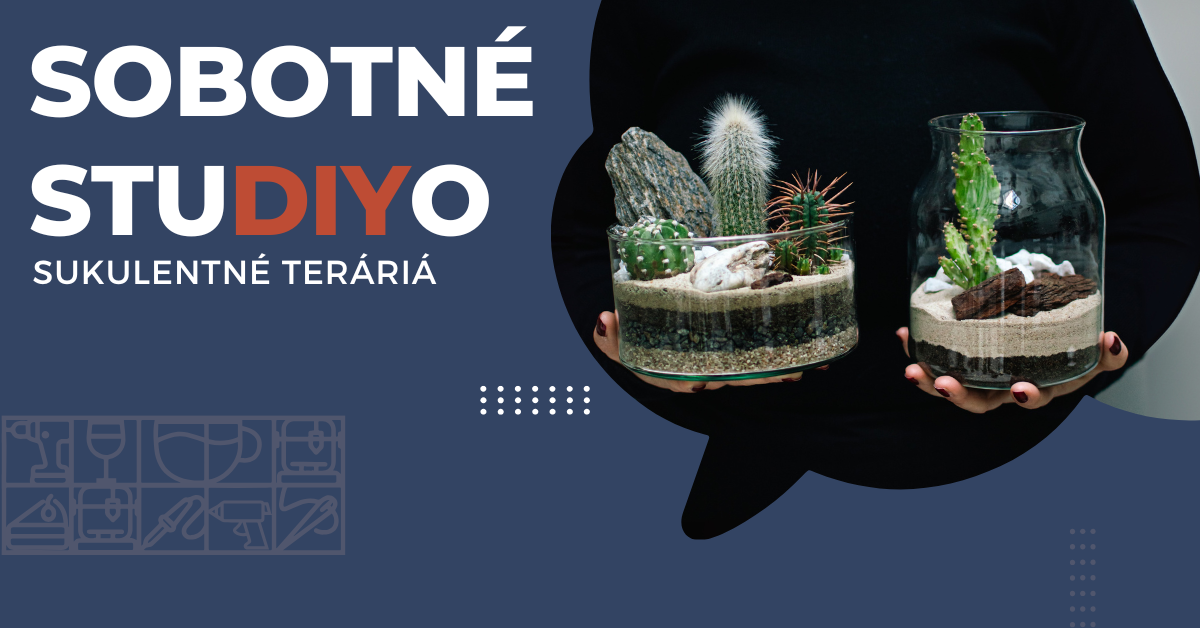 Sobotné StuDIYo - Sukulentné teráriá