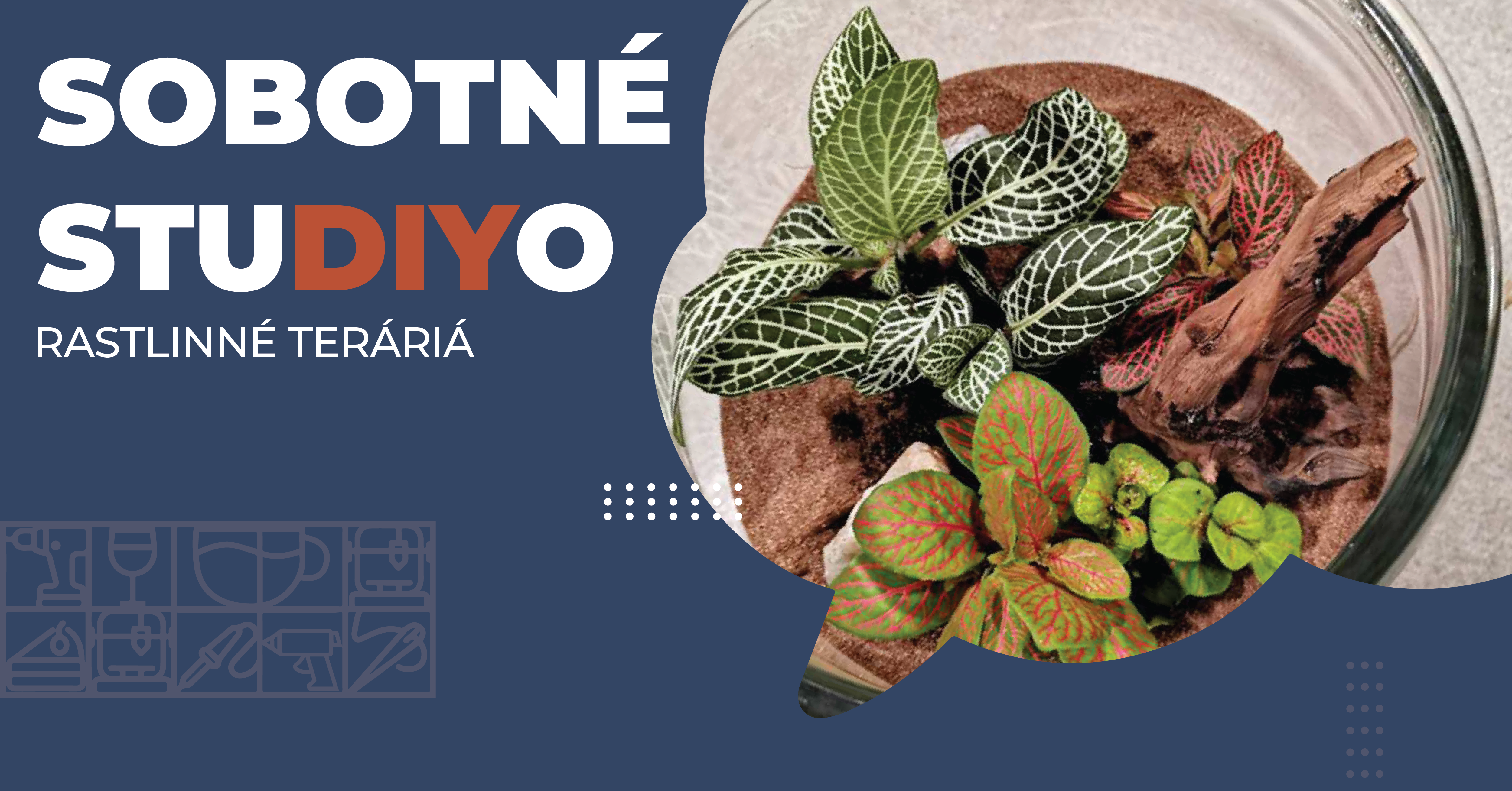 sobotné studiyo rastlinné teráriá