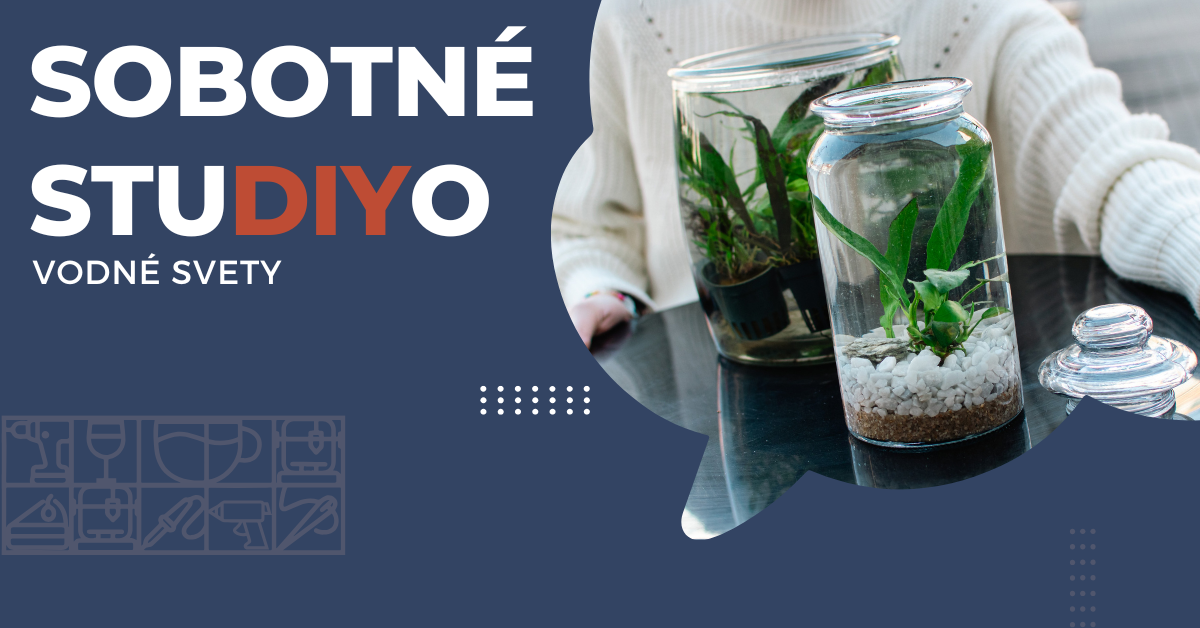 Sobotné StuDIYo - Vodné svety