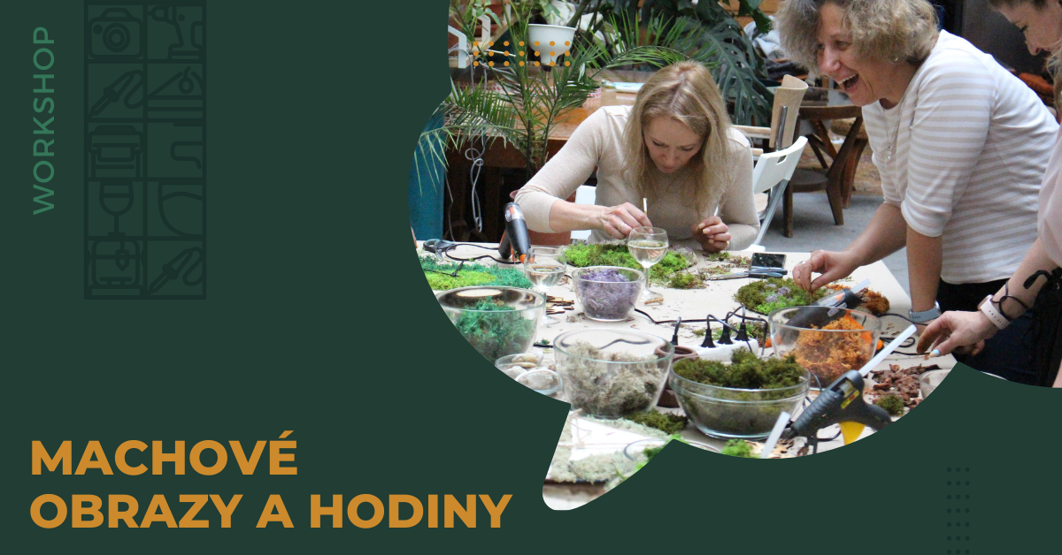 Machové obrazy a hodiny