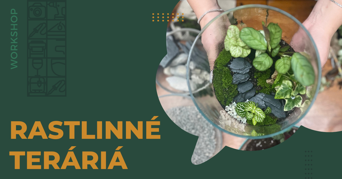 Rastlinné teráriá - workshop