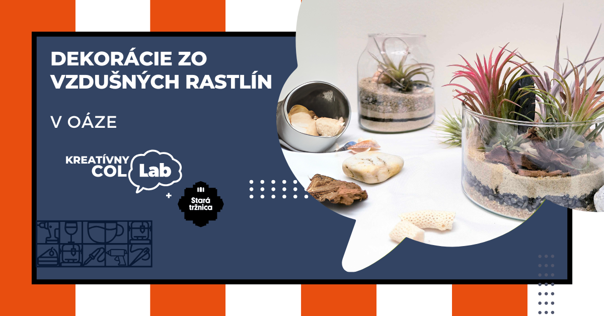 Dekorácie zo vzdušných rastlín - workshop v OÁZE - komunitné centrum